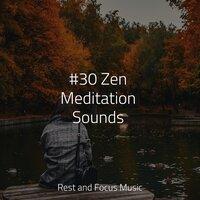 #30 Zen Meditation Sounds