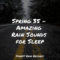 Spring 35 - Amazing Rain Sounds for Sleep