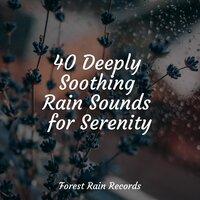 40 Deeply Soothing Rain Sounds for Serenity