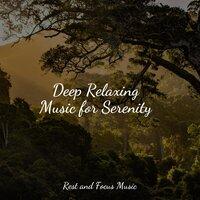 Deep Relaxing Music for Serenity