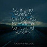 Spring 40 Soothing Rain Sounds to Reduce Stress and Anxiety