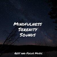 Mindfulness Serenity Sounds