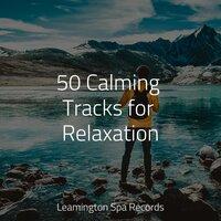 50 Calming Tracks for Relaxation