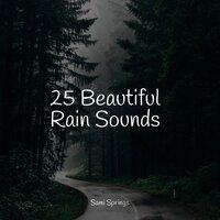 25 Beautiful Rain Sounds