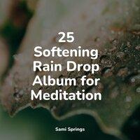 25 Softening Rain Drop Album for Meditation