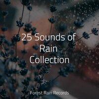 25 Sounds of Rain Collection