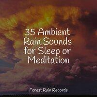 35 Ambient Rain Sounds for Sleep or Meditation