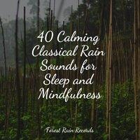 40 Calming Classical Rain Sounds for Sleep and Mindfulness