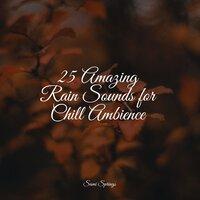 25 Amazing Rain Sounds for Chill Ambience