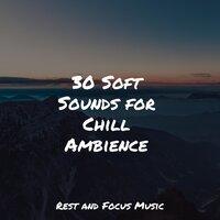 30 Soft Sounds for Chill Ambience