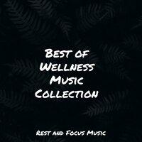 Best of Wellness Music Collection