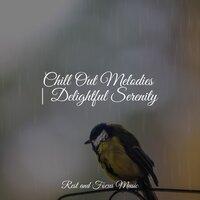 Chill Out Melodies | Delightful Serenity