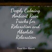 Deeply Calming Ambient Rain Tracks for Relaxation and Absolute Relaxation