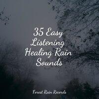 35 Easy Listening Healing Rain Sounds