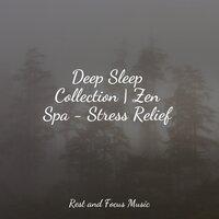 Deep Sleep Collection | Zen Spa - Stress Relief