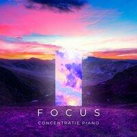 Focus: Concentratie Piano