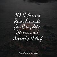40 Relaxing Rain Sounds for Complete Stress and Anxiety Relief