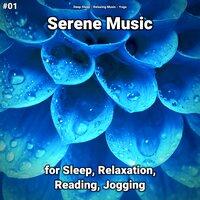 #01 Serene Music for Sleep, Relaxation, Reading, Jogging