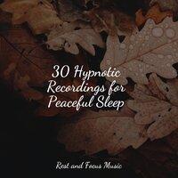 30 Hypnotic Recordings for Peaceful Sleep