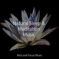 Natural Sleep & Meditation Music