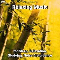 #01 Relaxing Music for Sleep, Relaxation, Studying, Noise Disturbance