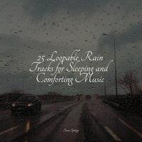 25 Loopable Rain Tracks for Sleeping and Comforting Music