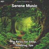 #01 Serene Music to Relax, for Sleep, Studying, Spa
