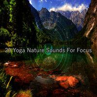 29 звуков природы йоги для концентрации