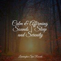 Calm & Affirming Sounds | Sleep and Serenity