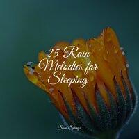 25 Rain Melodies for Sleeping