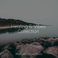 Healing & Vibes Collection