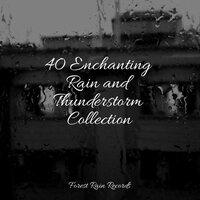 40 Enchanting Rain and Thunderstorm Collection