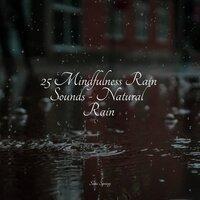 25 Mindfulness Rain Sounds - Natural Rain