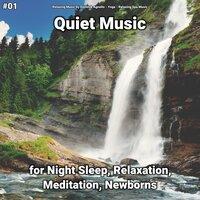 #01 Quiet Music for Night Sleep, Relaxation, Meditation, Newborns