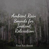 Ambient Rain Sounds for Instant Relaxation