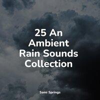 25 An Ambient Rain Sounds Collection