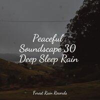 Peaceful Soundscape 30 Deep Sleep Rain