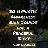 30 Hypnotic Awareness Rain Sounds for a Peaceful Sleep