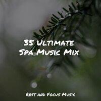 35 Ultimate Spa Music Mix