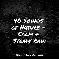 40 Sounds of Nature - Calm & Steady Rain