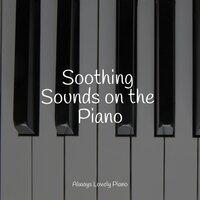 Soothing Sounds on the Piano