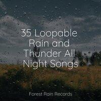 35 Loopable Rain and Thunder All Night Songs