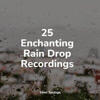 25 Enchanting Rain Drop Recordings