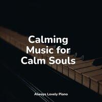 Calming Music for Calm Souls