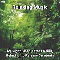 #01 Relaxing Music for Night Sleep, Stress Relief, Relaxing, to Release Serotonin