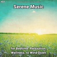 #01 Serene Music for Bedtime, Relaxation, Wellness, to Wind Down