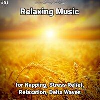 #01 Relaxing Music for Napping, Stress Relief, Relaxation, Delta Waves