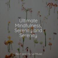 Ultimate Mindfulness, Serenity and Serenity