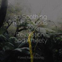 30 Soothing Rain Sounds for Relaxation and Anxiety