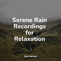 Serene Rain Recordings for Relaxation
